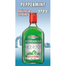 Flasque de Peppermint vert -273°