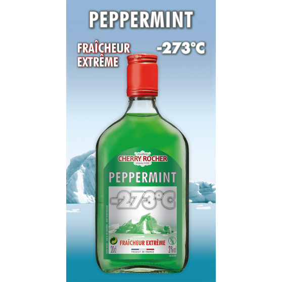 Flasque de Peppermint vert -273°