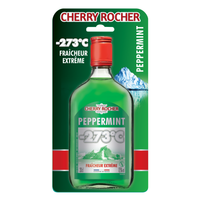Flasque de Peppermint vert -273°